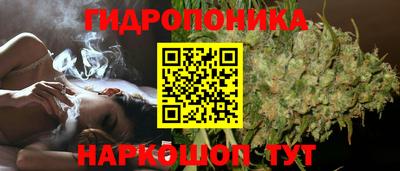 гидропоника Бугуруслан